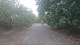 Titty flash while walking back from the beach 😉xx 57yo (f) (OC) 🇦🇺