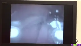 Japanese home porn with milf Rika Sakurai - More at 69avs com