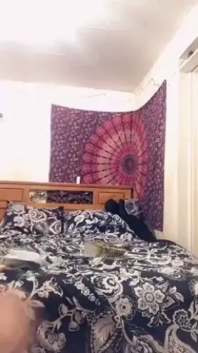 Big booty no cares given