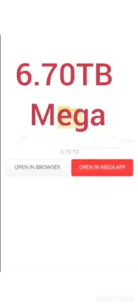 Get This Quick Full 6.70TB Collection of Baddies in Comment👇👇