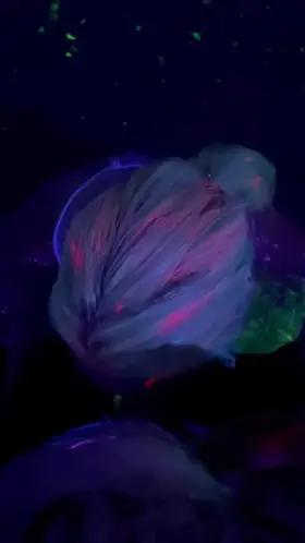 Then he painted my face with his cum :P