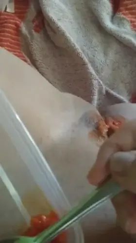 Blackmail failure who’s next?