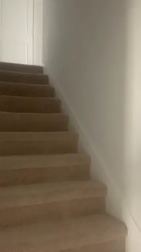 Follow me up the stairs