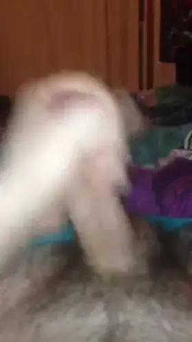 Small but average load anyone want more?