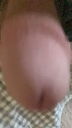 (gif) floppy friday fun