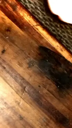 (M) slow motion solo cumshot