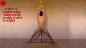 Enjoy the View - IMPALED ON THE VIBRATOR PROSTATE STIMULATION