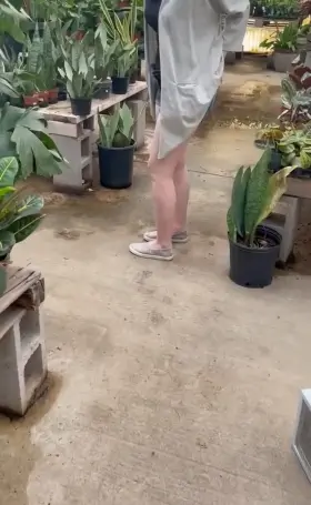 A quick little booty flash at the nursery!