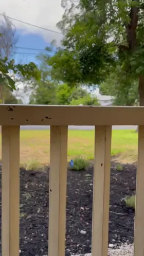 Lick my soles on the porch