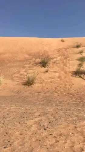 Maybe we can do it in the sand