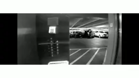 Just helping u/bigbuttsandtacotruck enjoy their trip to vegas 😁 [video]