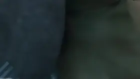 Ada stomach bulged from Mr.x cock (Sound Update) (Echiee) [Resident Evil]