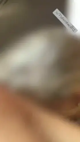 A little more of the CEO Hotwife Power Meeting . She wasn’t allowed on the bed at all but allowed on her knees. Her #powerfantasy ✔️ #nj