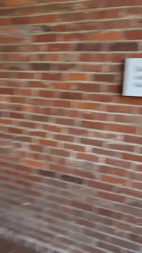 i wonder how many historic sites i can pull my tits out at