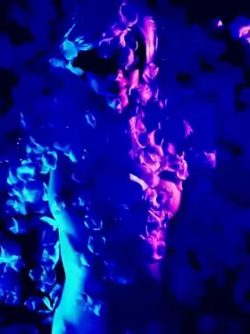 American Beauty, by LustreGlow