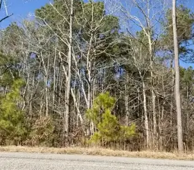 Showing booty in the road!