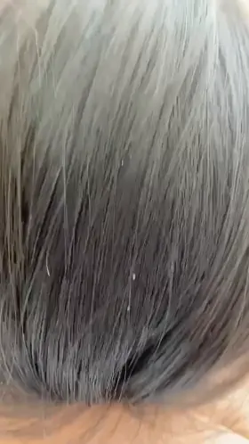 Shared my boyfriends cock with my friend last week 🤭💜 [SF Bay Area] [mf4f]