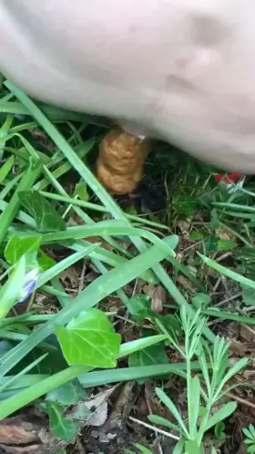 💩 outdoors is the best feeling!