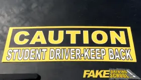 Fake Driving School a new series by the makers of Fake Taxi