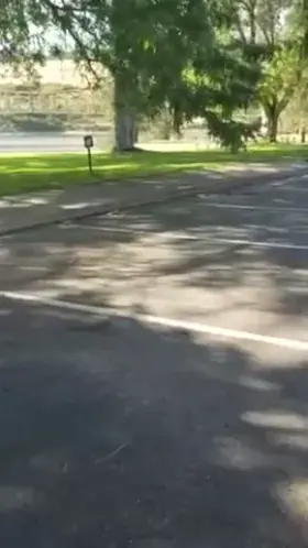 Don't know the source but wanted to share this gem.