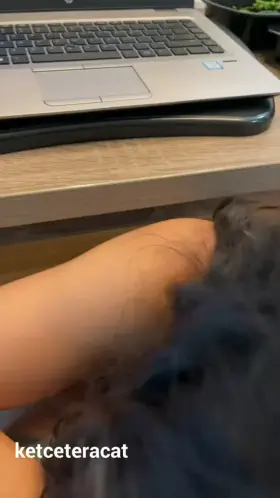 I’(m) his (f)avorite wfh coworker :)