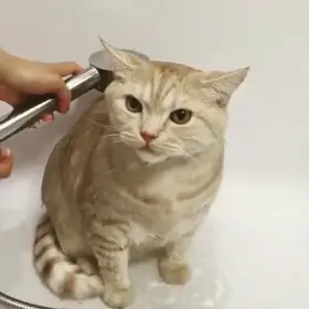 Hey, I kind of like this!