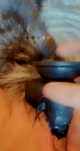 I love playing with my pussy 😍