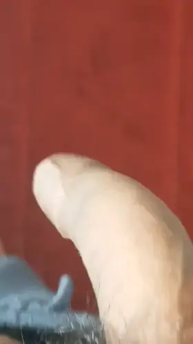 Daddy looking for a SISSY who can DRESS up and get on her knees and Worship this COCK! Kik: SOMAKOI