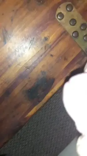 Make me eat my own cum (m35)