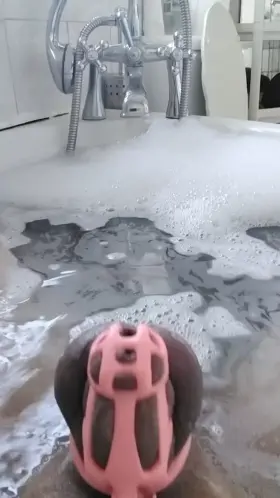 Struggling against my new cage 🥵