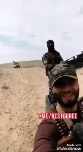 I think they fly wrong