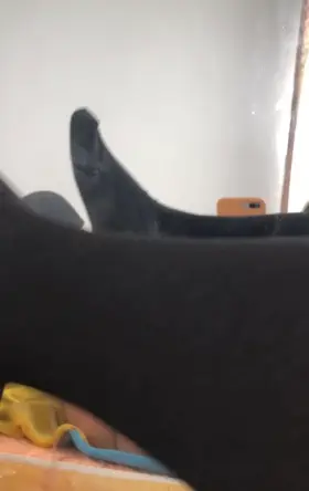 Would you creampie my pussy or would you pull out?