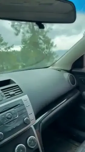 When the mood strikes 🙊