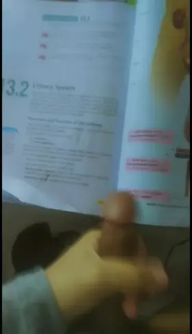 got a bit distracted while studying 😏