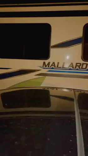 Naughty milf after dinner strut!