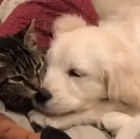 What do you think[f23]