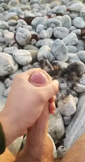 Went camping by myself, really enjoyed the view