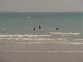 Back to the shore (Lina Romay & Tania Busselier & guy - La Comtesse Perverse (FR1974)) (2/2)