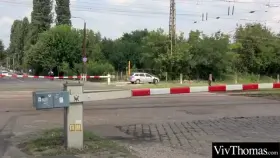 It's lust at first sight as interracial lesbians lick each other's hot ass and pussy