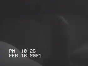 Who wants to make a movie?