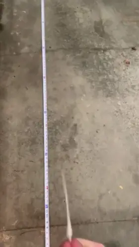 Anyone else ever measure their shooting power?