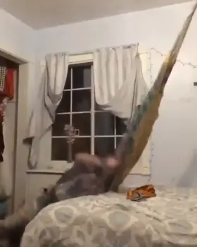 I can feel this one.