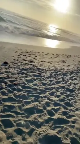 What’s your favorite beach activity? ;p