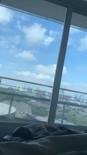 Beautiful Houston Day to Cum