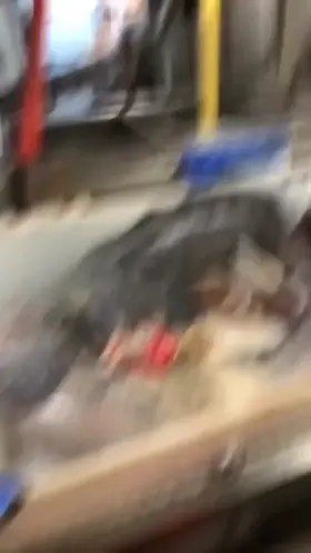 Wolfish bite after they are dead.