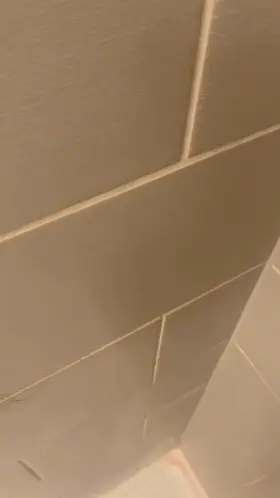 Morning load for you