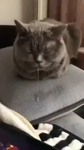 Must be a really good dream