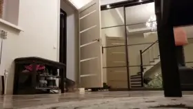 Naked Pizza Delivery