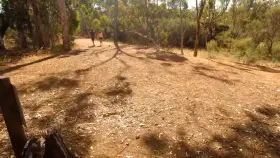 Riding my boyfriend right by the path. Our most daring sex ever!