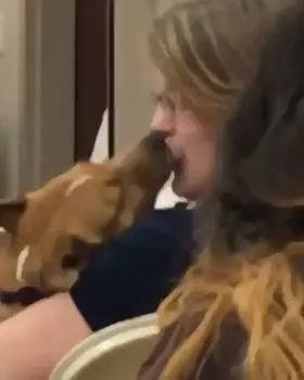 Please stop. This went from cute to illegal.